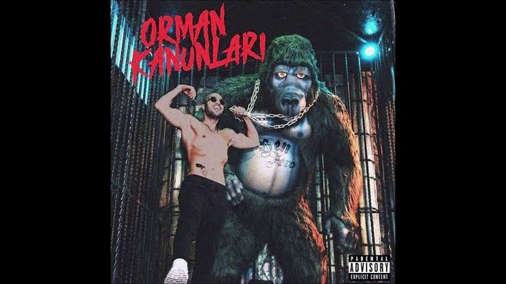 BEN FERO – ORMAN&nbsp;KANUNLARI
